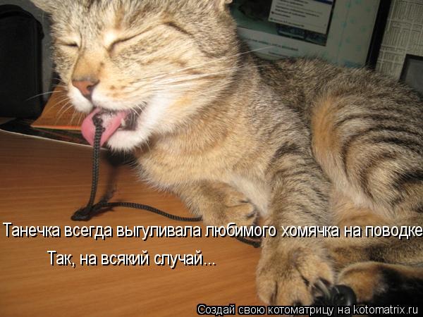 Котоматрица: Танечка всегда выгуливала любимого хомячка на поводке. Так, на всякий случай...