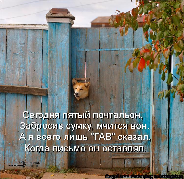 Котоматрица: Сегодня пятый почтальон, Забросив сумку, мчится вон. А я всего лишь "ГАВ" сказал, Когда письмо он оставлял.
