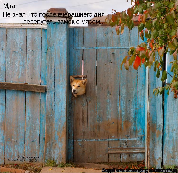Котоматрица: Мда... Не знал что после вчерашнего дня перепутать замок с мясом...