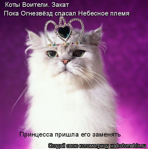 Котоматрица: Коты Воители. Закат Пока Огнезвёзд спасал Небесное племя Принцесса пришла его заменять