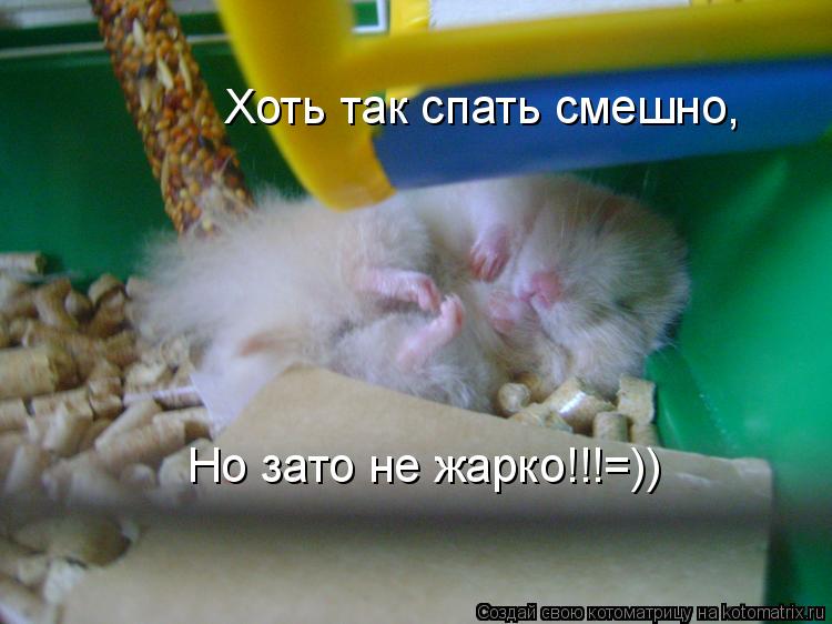 Почему не можешь уснуть ночью хоть и хочется спать Почему не можешь уснуть ночью хоть и хочется спать