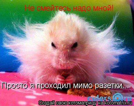 Котоматрица: Не смейтесь надо мной! Просто я проходил мимо разетки...