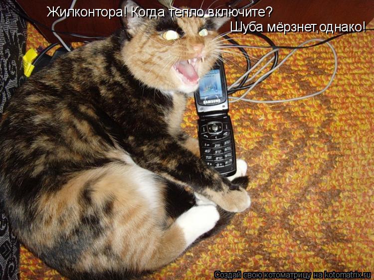 Котоматрица: Жилконтора! Когда тепло включите? Шуба мёрзнет,однако!
