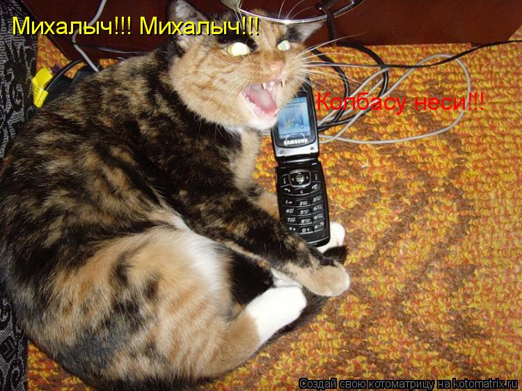 Котоматрица: Михалыч!!! Михалыч!!! Колбасу неси!!!