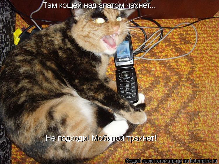 Котоматрица: Там кощей над златом чахнет... Не подходи! Мобилой трахнет!