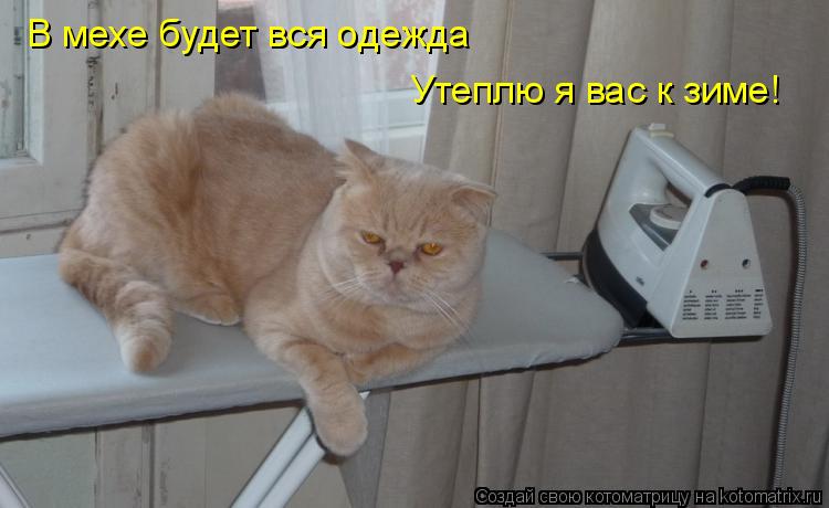 Котоматрица: В мехе будет вся одежда Утеплю я вас к зиме!