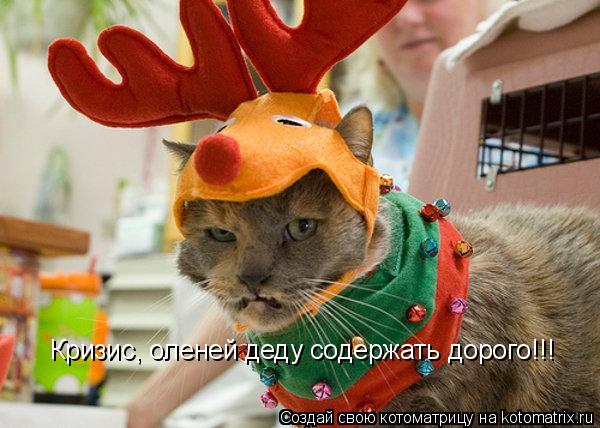 Котоматрица: Кризис, оленей деду содержать дорого!!!