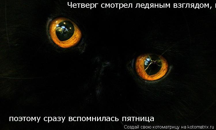 Котоматрица: Четверг смотрел ледяным взглядом, поэтому сразу вспомнилась пятница  поэтому сразу вспомнилась пятница