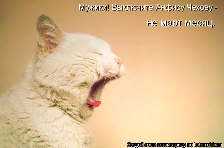 Котоматрица: Мужики! Выключите Анфису Чехову - не март месяц.