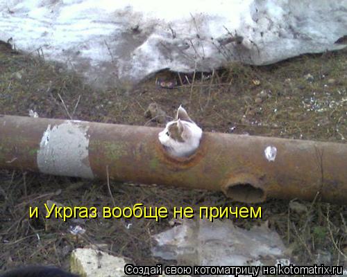 Котоматрица: и Укргаз вообще не причем