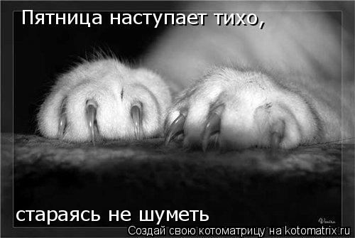 Котоматрица: Пятница наступает тихо, стараясь не шуметь