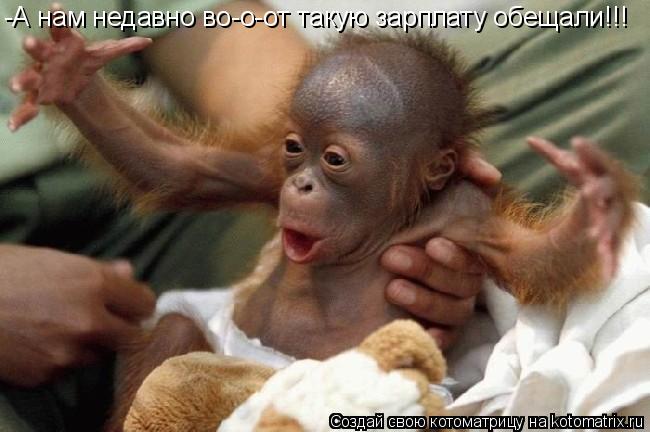 Котоматрица: -А нам недавно во-о-от такую зарплату обещали!!!