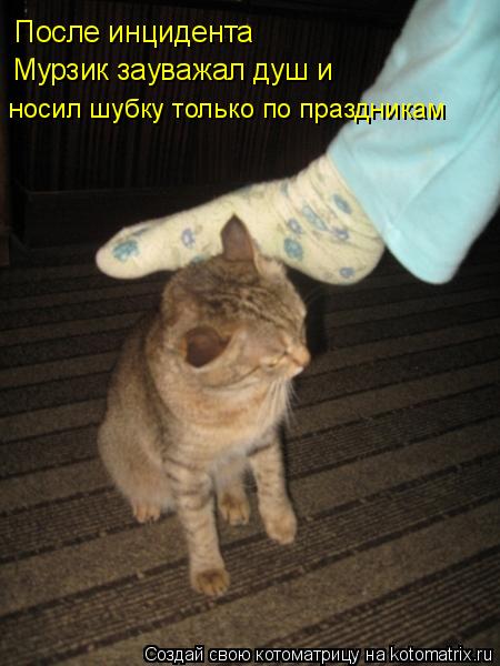 Котоматрица: носил шубку только по праздникам Мурзик зауважал душ и После инцидента
