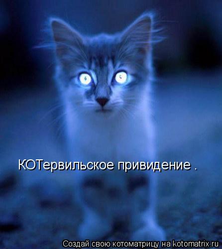 Котоматрица: КОТервильское привидение .