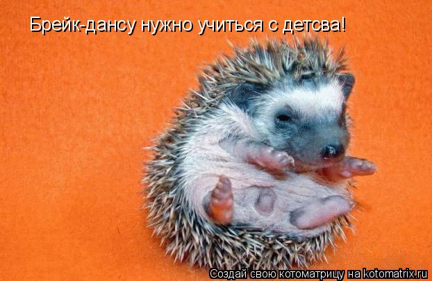 Котоматрица: Брейк-дансу нужно учиться с детсва!