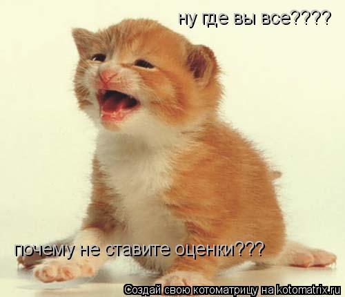 Котоматрица: ну где вы все???? почему не ставите оценки???