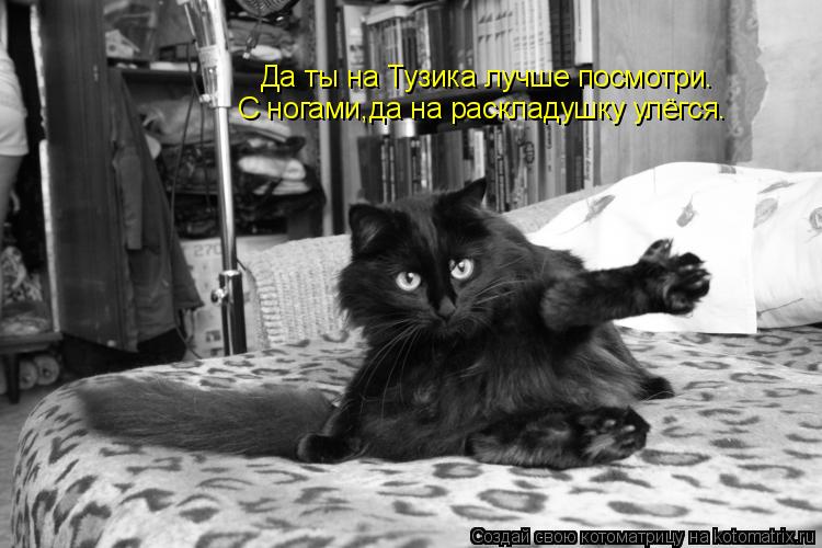 Котоматрица: Да ты на Тузика лучше посмотри. С ногами,да на раскладушку улёгся.