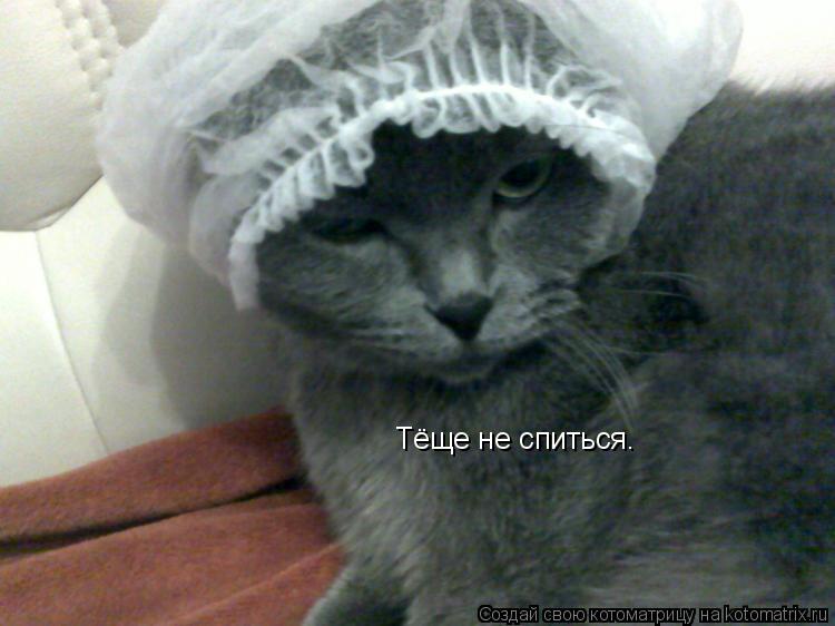 Котоматрица: Тёще не спиться.