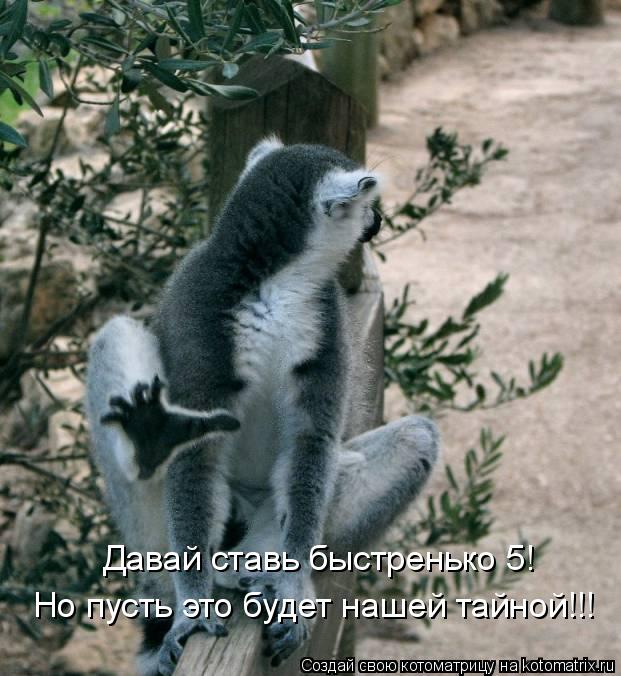 Котоматрица: Давай ставь быстренько 5! Но пусть это будет нашей тайной!!!