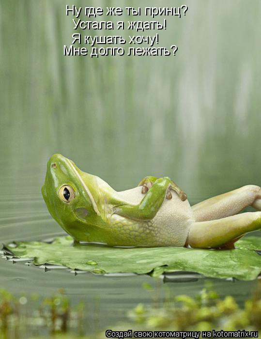 Котоматрица: Ну где же ты принц? Устала я ждать! Я кушать хочу! Мне долго лежать?