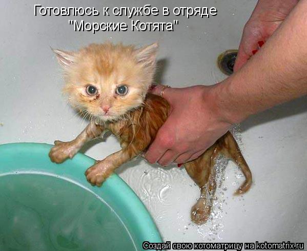 Котоматрица: Готовлюсь к службе в отряде  "Морские Котята"