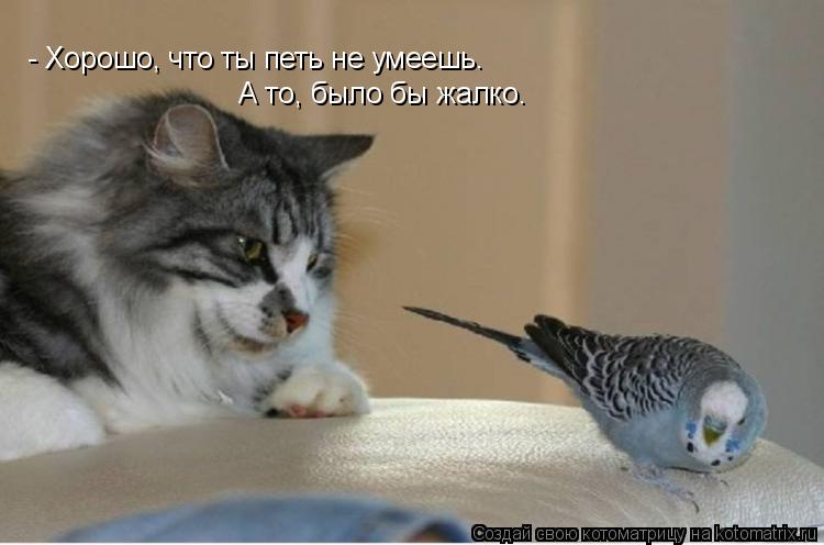 Котоматрица: - Хорошо, что ты петь не умеешь. А то, было бы жалко.