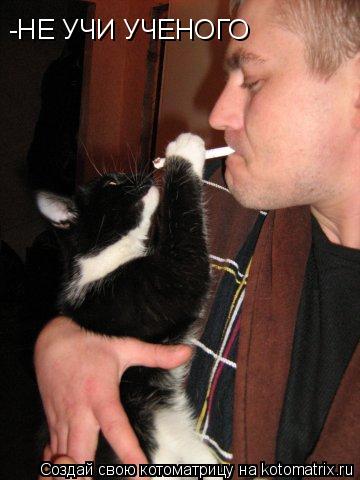 Котоматрица: -НЕ УЧИ УЧЕНОГО
