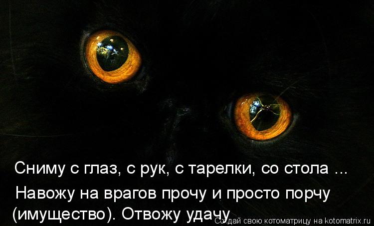 Котоматрица: Сниму с глаз, с рук, с тарелки, со стола ... Навожу на врагов прочу и просто порчу (имущество). Отвожу удачу