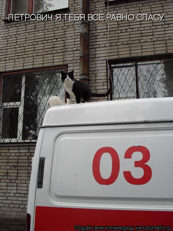 Котоматрица: -ПЕТРОВИЧ Я ТЕБЯ ВСЕ РАВНО СПАСУ