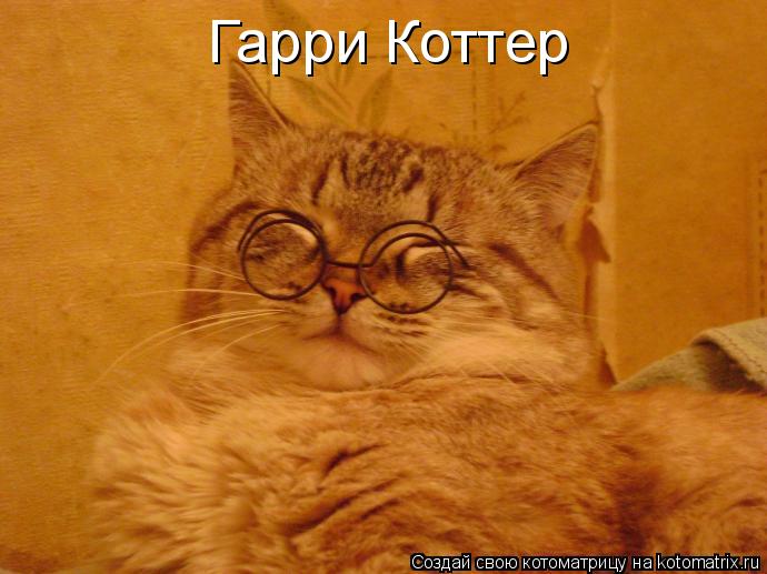 Котоматрица: Гарри Коттер