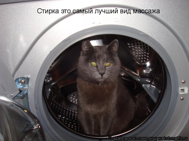 Котоматрица: Стирка это самый лучший вид массажа