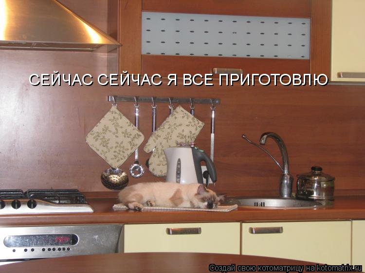 Котоматрица: СЕЙЧАС СЕЙЧАС Я ВСЕ ПРИГОТОВЛЮ