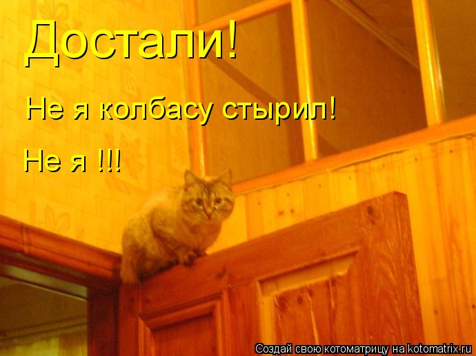 Котоматрица: Достали! Не я колбасу стырил! Не я !!!