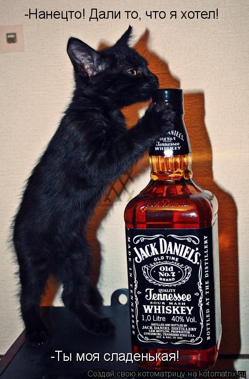 Котоматрица: -Нанецто! Дали то, что я хотел! -Ты моя сладенькая!