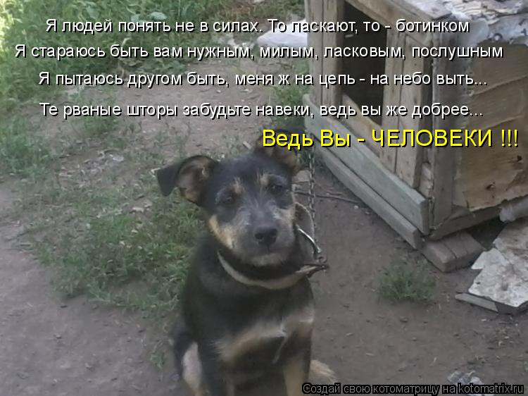 Котоматрица: Я людей понять не в силах. То ласкают, то - ботинком Я стараюсь быть вам нужным, милым, ласковым, послушным Я пытаюсь другом быть, меня ж на цеп