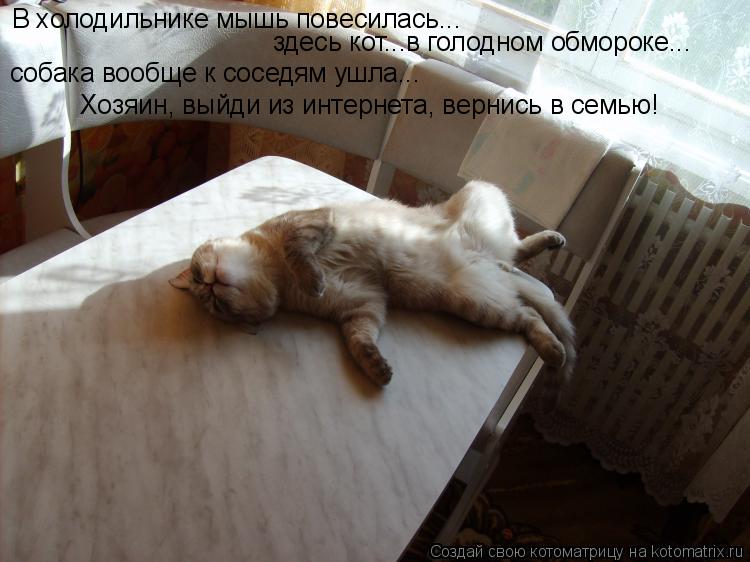 В холодильнике мышь повесилась... собака вообще к соседям ушла... Хозяин, выйди из интернета, вернись... Котоматрица: В холодильнике мышь повесилась... собака вообще к соседям ушла... Хозяин, выйди из интернета, вернись в семью! здесь кот...в голодном обмороке..