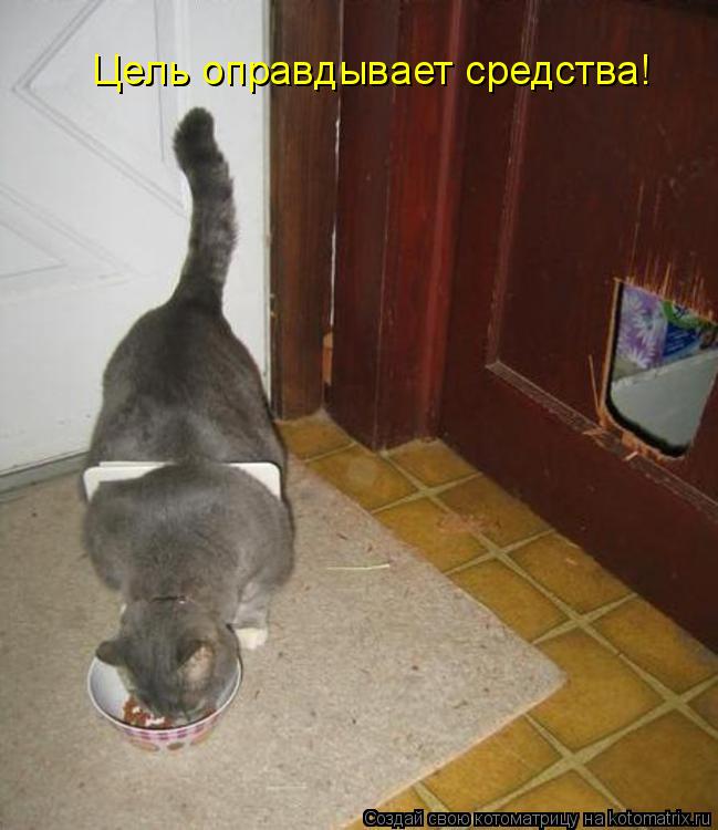 Котоматрица: Цель оправдывает средства!