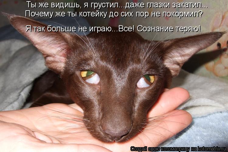 Котоматрица: Ты же видишь, я грустил...даже глазки закатил... Я так больше не играю...Все! Сознание теряю! Почему же ты котейку до сих пор не покормил?
