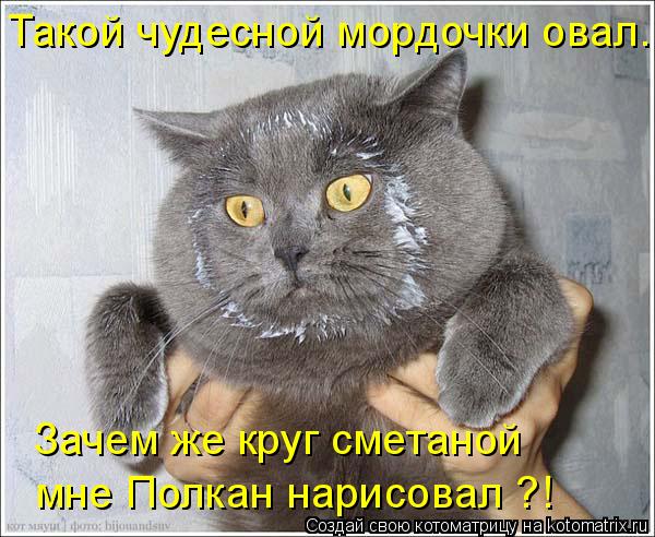 Такой чудесной мордочки овал. Зачем же круг сметаной мне Полкан нарисовал ?!... Котоматрица: Такой чудесной мордочки овал. Зачем же круг сметаной мне Полкан нарисовал ?!