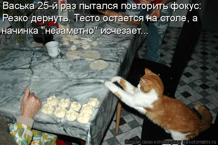 Васька 25-й раз пытался повторить фокус: Резко дернуть. Тесто остается на столе, а начинка "незаметн... Котоматрица: Васька 25-й раз пытался повторить фокус: Резко дернуть. Тесто остается на столе, а начинка "незаметно" исчезает...