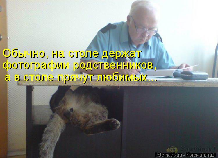 Котоматрица: Обычно, на столе держат  фотографии родственников,  а в столе прячут любимых...