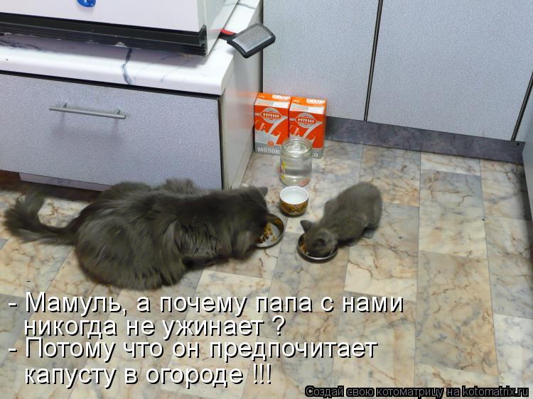 - Потому что он предпочитает - Мамуль, а почему папа с нами капусту в огороде !!! никогда не ужинает ... Котоматрица: - Потому что он предпочитает - Мамуль, а почему папа с нами капусту в огороде !!! никогда не ужинает ?