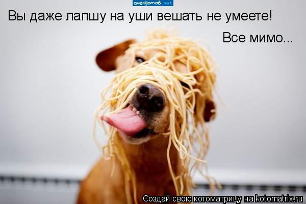 Котоматрица: Вы даже лапшу на уши вешать не умеете! Все мимо...