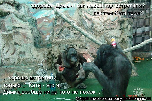 Котоматрица: здорова, Димыч! как новый год встретили?  как там Катя твоя? ... хорошо встретили.... только.... Катя - это я... Димка вообще ни на кого не похож....