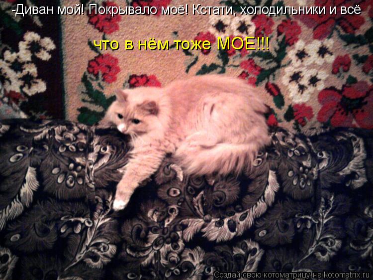 Котоматрица: -Диван мой! Покрывало моё! Кстати, холодильники и всё  что в нём тоже МОЕ!!!