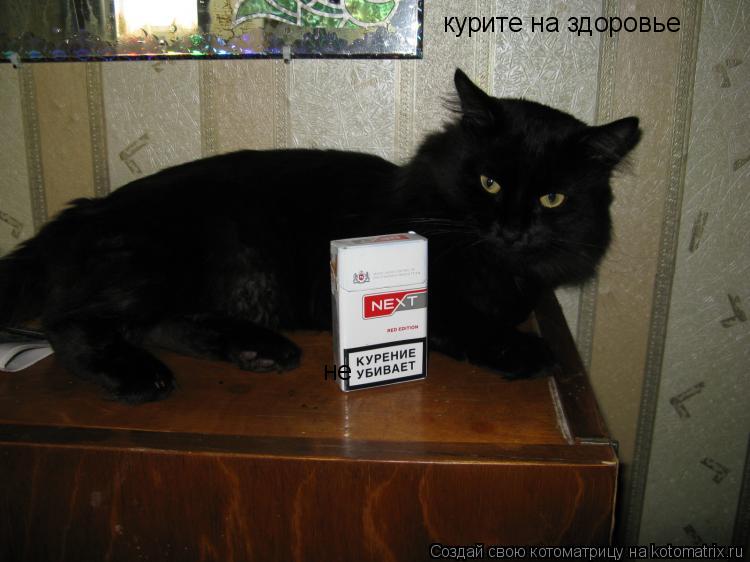 Котоматрица: не курите на здоровье