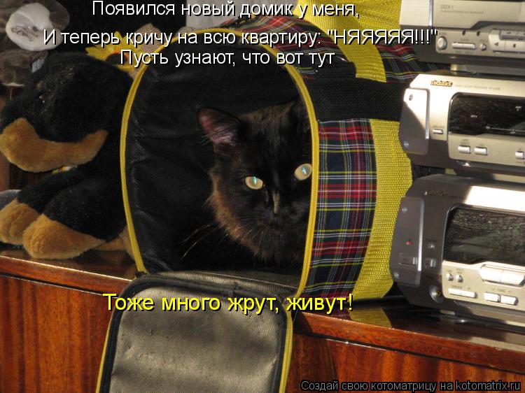 Котоматрица: Появился новый домик у меня, И теперь кричу на всю квартиру: "НЯЯЯЯЯ!!!" Пусть узнают, что вот тут Тоже много жрут, живут!