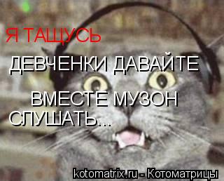 Котоматрица: Я ТАЩУСЬ  ДЕВЧЕНКИ ДАВАЙТЕ  ВМЕСТЕ МУЗОН СЛУШАТЬ...