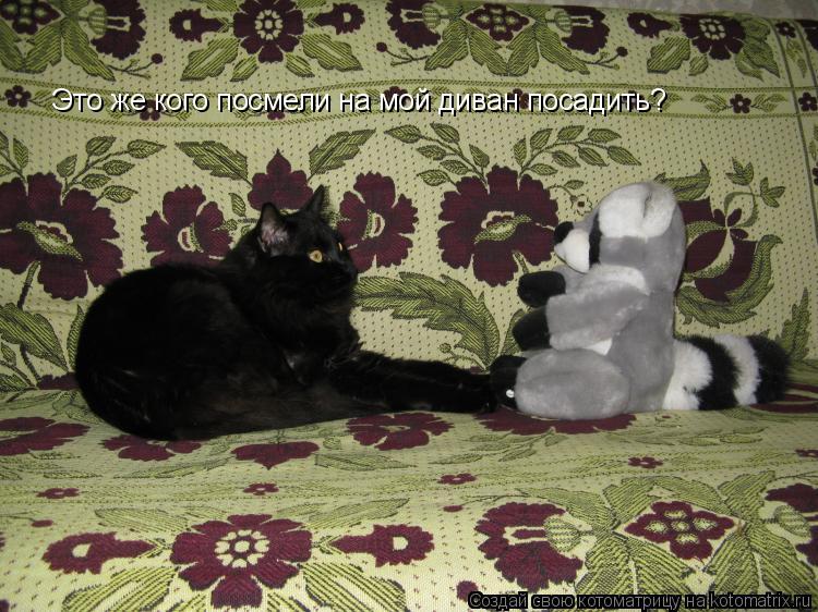 Котоматрица: Это же кого посмели на мой диван посадить?