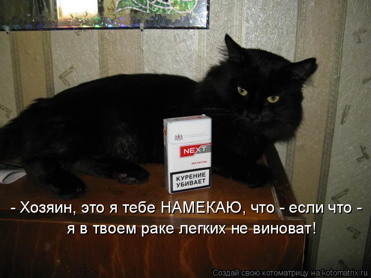 Котоматрица: - Хозяин, это я тебе НАМЕКАЮ, что - если что -  я в твоем раке легких не виноват!